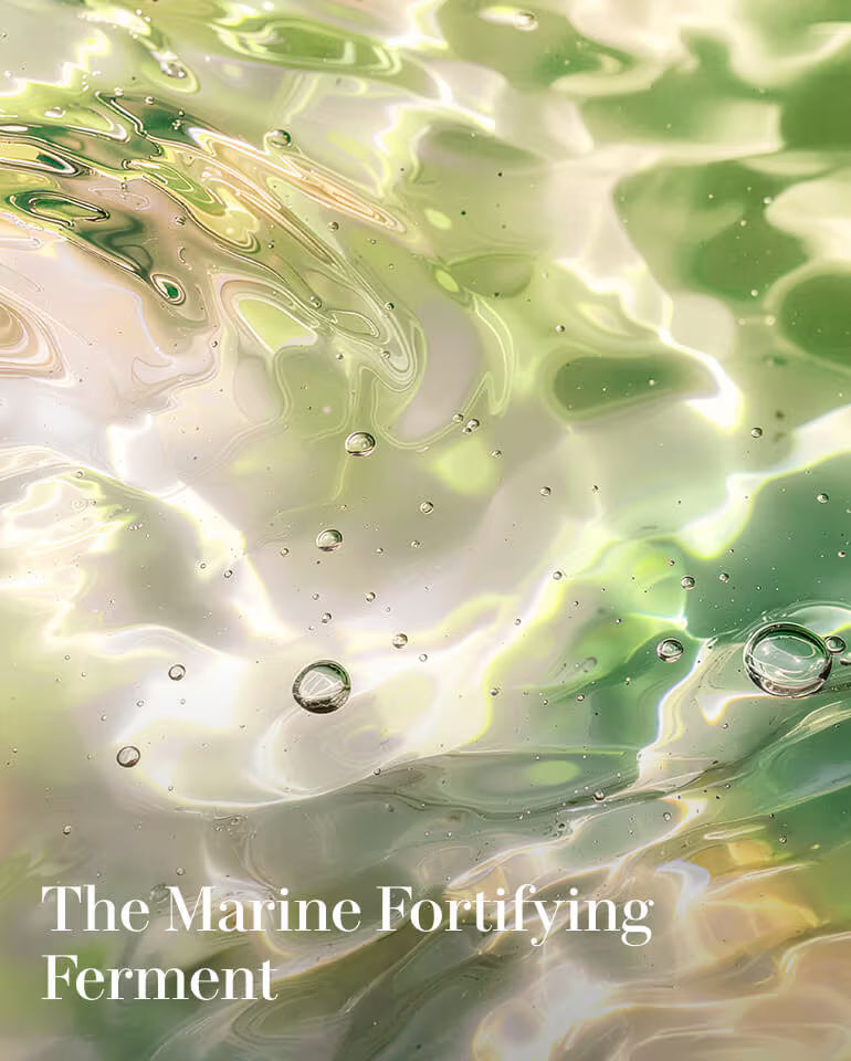 The Reparative Body Lotion